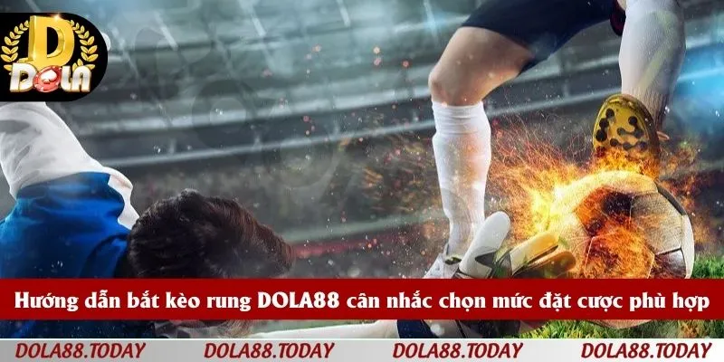 Hướng dẫn bắt kèo rung DOLA88 cân nhắc chọn mức đặt cược phù hợp